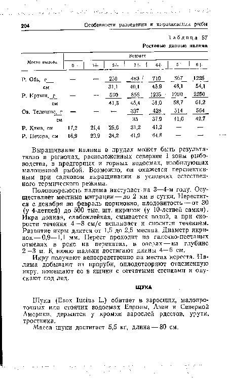 Икру получают непосредственно на местах нереста. Налима добывают из проруби, оплодотворяют отцеженную икру, помещают ее в ящики с сетчатыми стенками и опускают под лед.