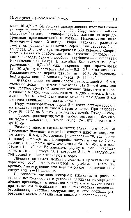 Выклюнувшиеся личинки белого цвета, длиной 3—4 мм, спокойно лежат на сетках в желобах. На 3—4-й день при температуре 16—17°С личинки активно двигаются и закапываются в слой ила, нанесенного на дно аппарата Вильямсона. На 13—15-й день после выклева при длине 8 мм личинки начинают всплывать наверх.