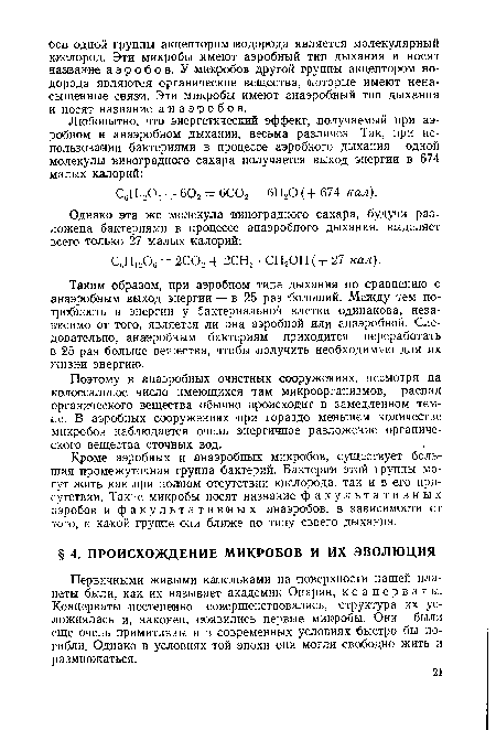 Первичными живыми капельками на поверхности нашей планеты были, как их называет академик Опарин, к о а ц е р в а т ы. Коацерваты постепенно совершенствовались, структура их усложнялась и, наконец, появились первые микробы. Они были еще очень примитивны и в современных условиях быстро бы погибли. Однако в условиях той эпохи они могли свободно жить и размножаться.