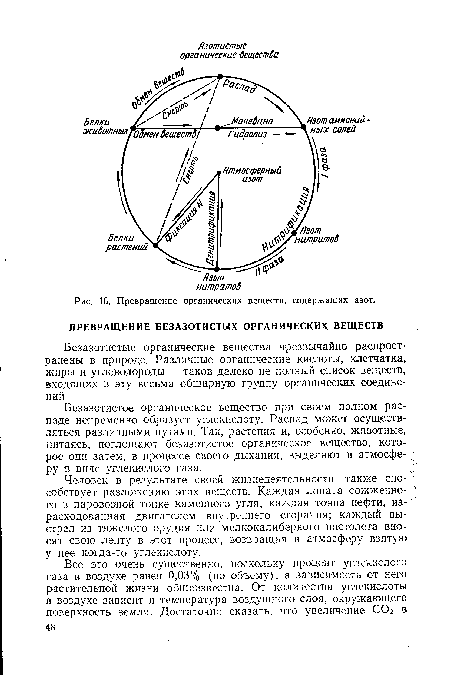 Превращение органических веществ, содержащих азот.