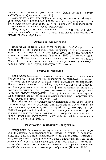 Существует много классификаций микроорганизмов, образующих обрастание подводных предметов. Мы группируем ,их т> физиологическому принципу, т. е. по признаку направленности их химической или физической активности.