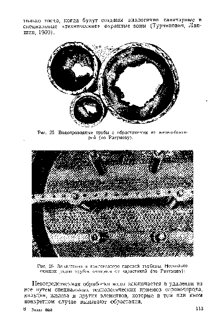 Водопроводные трубы с обрастаниями из железобактерий (по Разумову).