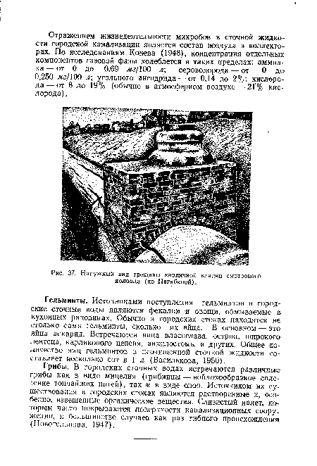 Наружный вид трещины кирпичной кладки смотрового колодца (по Нагибиной).