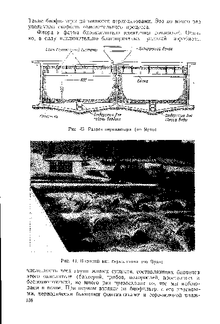 Разрез перколятора (по Ярхо).