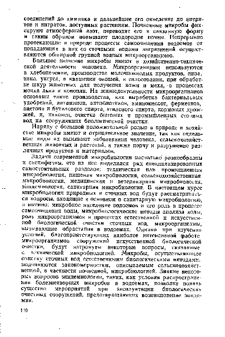 Большое значение микробы имеют в хозяйственно-технической деятельности человека. Микроорганизмы используются в хлебопечении, производстве молочнокислых продуктов, пива, вина, уксуса, в квашении овощей, в силосовании, при обработке шкур животных для получения кожи и меха, в процессах мочки льна и конопли. На жизнедеятельности микроорганизмов основаны такие производства, как выработка бактериальных удобрений, витаминов, антибиотиков, аминокислот, ферментов, ацетона и .бутилового спирта, этилового спирта, кормовых дрожжей, и, наконец, очистка бытовых и промышленных сточных вод на сооружениях биологической очистки.
