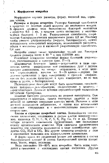 Шаровидные бактерии — кокки — встречаются в виде одиночных клеток — микрококков или соединенных друг с другом попарно диплококков, по четыре — тетракокков, в виде цепочек— стрептококков, пакетов из 8—16 клеток — сарцин (их деление происходит в трех измерениях) и гроздей — стафилококков (их деление происходит в трех измерениях, но не под прямым углом, а беспорядочно).