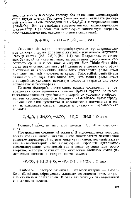 Помимо бактерий, окисляющих серные соединения, в превращениях серы принимает участие другая группа бактерий, восстанавливающая сульфаты в анаэробных условиях с образованием сероводорода. Эти бактерии называются сульфатреду-цирующими. Они нуждаются в органических источниках и могут использовать сахара, спирты и различные органические кислоты.