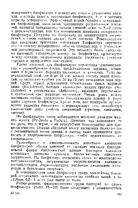 Кроме плесеней для биофильтров характерна многочисленная и разнообразная фауна, представленная червями, личинками и взрослыми формами насекомых и клещами. Если поверхностный слой (от 0 до 10 см) можно считать зоной плесеней, то несколько глубже (от 10 до 15 см) начинается зона червей. Среди червей встречаются относительно более крупные виды (Enchitreus), большое количество мелких круглых (Nematodes) и реснитчатых (Aelosoma), имеющих окрашенные в оранжевый цвет жировые включения. Черви, роясь между частицами щебня, разрыхляют биологическую пленку и улучшают аэрацию биофильтра. Кроме того, они пожирают органические вещества биопленки и переваривают его, способствуя разложению ряда стойких соединений (гуминов, клетчатки, хитина).