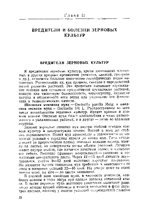 К вредителям зерновых культур, кроме многоядных насекомых и других вредных организмов (нематод, слизней, грызунов и др.), относится большое количество специфических видов насекомых. Размножение их, как правило, связано с определенной фазой развития растений. Эти вредители вызывают изрежива-ние всходов или снижение продуктивной кустистости растений, полную или частичную белоколосость, череззерницу, снижение натуры и абсолютного веса зерна или ухудшение его физических и технологических качеств.