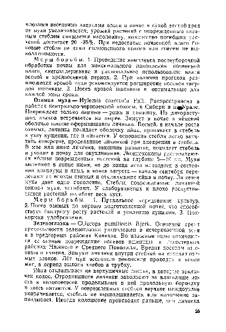 Озимая муха — Hylemia coarctata Fall. Распространена в районах центрально-черноземной полосы, в Сибири и нэдУрале. Повреждает только озимые — рожь и пшеницу. Из дикорастущих злаков встречается на пырее. Зимует в почве в яйцевой оболочке вполне оформившаяся личинка. Весной, в начале роста озимых, личинка покидает оболочку яйца, проникает в стебель к узлу кущения, где и питается. У основания стебля легко заметить отверстие, проделанное личинкой при внедрении в стебель. В мае или июне личинка, закончив развитие, покидает стебель и уходит в почву для окукливания. Ложнококоны располагаются вблизи поврежденных растений на глубине 5—10 см. Мухи вылетают в конце июня, но до конца лета находятся в состоянии диапаузы и лишь в конце августа — начале сентября перелетают на всходы озимых и откладывают яйца в почву. За сезон муха дает одно поколение. Стебли, поврежденные личинкой озимой мухи, погибают. У слаборазвитых и плохо раскустившихся растений погибает весь куст.