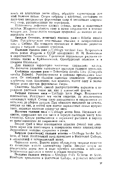 Источником инфекции служат семена, почва и пожнивные остатки. Жизнеспособность спор в почве сохраняется в течение четырех лет. Заражаются молодые проростки до выхода на поверхность земли.