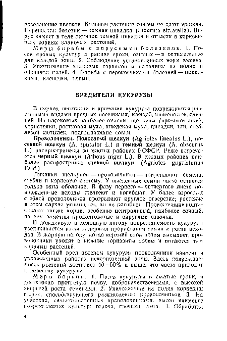 В период вегетации и хранения кукуруза повреждается различными видами вредных насекомых, клещей, многоножек, слизней. Из насекомых наиболее опасны: щелкуны (проволочники), чернотелки, ростковая муха, шведская муха, цикадки, тли, стеблевой мотылек, подгрызающие совки.