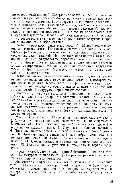 Высокая температура воздуха и пониженная влажность способствуют развитию пузырчатой головни. Поздние посевы сильнее поражаются пузырчатой головней. Болезнь усиливается при плохом уходе за посевами, возделывании их на почве с повышенной кислотностью, низким содержанием гумуса и обедненной фосфором. Заражению способствует повреждение растений шведской мухой.