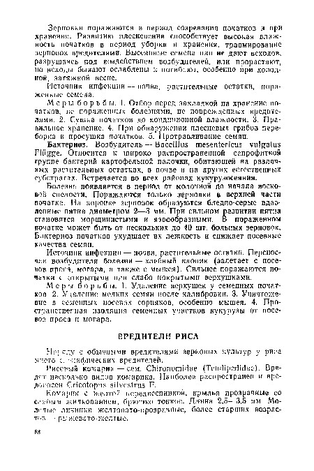 Комарик с желтой переднеспинкой, крылья прозрачные со слабым жилкованием, брюшко тонкое. Длина 2,5—3,5 мм. Молодые личинки желтовато-прозрачные, более старших возрастов - рыжевато-желтые.