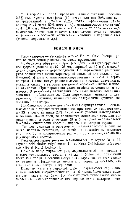 Возбудитель образует споры (конидии) вытянуто-грушевидной формы (длиной до 22—27 мк, шириной до 12 мк), с одной-двумя поперечными перегородками. На зараженных растениях риса появляются пятна характерной овальной или овально-ромбовидной формы с красновато-коричневыми краями и серым центром. Пятна могут располагаться на листьях, влагалищах, узлах, а также на веточках метелки и колосках. Листья и побеги отмирают. При поражении узлов стебель наклоняется и ломается. В результате загнивания его ниже метелки последняя засыхает и обламывается. Если пораженная метелка и дает зерновки, то щуплые, незначительно содержащие хрупкий меловидный эндосперм.