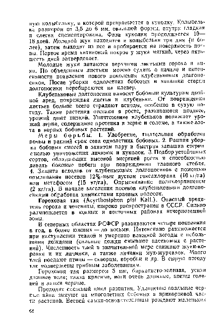 Меры борьбы. 1. Удобрение, тщательная обработка почвы и ранний срок сева однолетних бобовых. 2. Ранняя уборка бобовых смесей в занятом пару и быстрая запашка стерни с целью уничтожения личинок и куколок. 3. Подбор устойчивых сортов, обладающих высокой энергией роста и способностью давать боковые побеги при повреждении главного стебля.