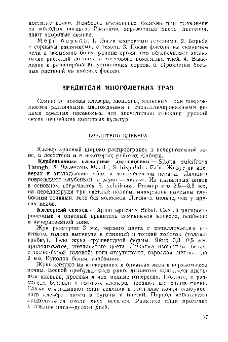 Семенные посевы клевера, люцерны, злаковых трав повреждаются различными многоядными и специализированными видами вредных насекомых, что значительно снижает урожай семян ценнейших кормовых культур.