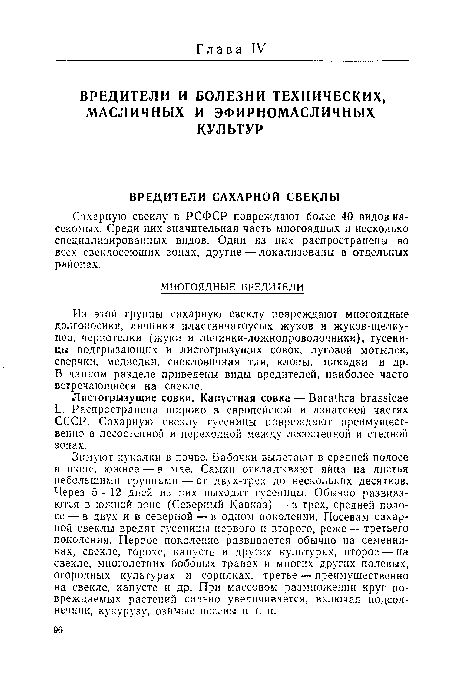 Сахарную свеклу в РСФСР повреждают более 40 видов насекомых. Среди них значительная часть многоядных и несколько специализированных видов. Одни из них распространены во всех свеклосеющих зонах, другие — локализованы в отдельных районах.