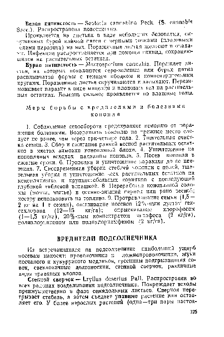 Бурая пятнистость — Macrosporium cannabis. Поражает листья, на которых появляются серо-зеленые или бурые пятна расплывчатой формы с темным ободком и концентрическими кругами. Пораженные листья скручиваются и засыхают. Перезимовывает паразит в виде мицелия и плодовых тел на растительных остатках. Болезнь сильнее проявляется во влажные годы.