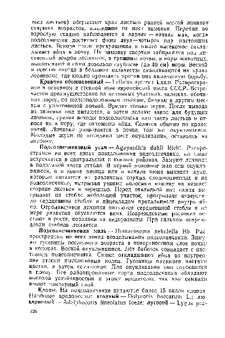 Подсолнечниковая моль — Homaeosoma nebulella Hb. Распространена во всех зонах возделывания подсолнечника. Зимуют гусеницы последнего возраста в поверхностном слое почвы в коконах. Весной окукливаются. Лёт бабочек совпадает с цветением подсолнечника. Самки откладывают яйца во внутренние стенки пыльниковых колец. Гусеницы питаются частями цветка, а затем семянками. Для окукливания они спускаются в почву. Все районированные сорта подсолнечника обладают высокой устойчивостью к этому вредителю, так как семянки имеют панцирный слой.