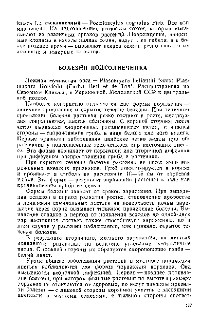 Формы болезни зависят от сроков заражения. При выпадении осадков в период развития ростка, становления проростка и появления семядольных листьев на поверхности почвы заражение через корни вызывает типичное проявление болезни. Вы-падецде осадков в период от появления всходов до одной-двух пар настоящих листьев также способствует заражению, но з этом случае у растений наблюдается, как правило, скрытое течение болезни.