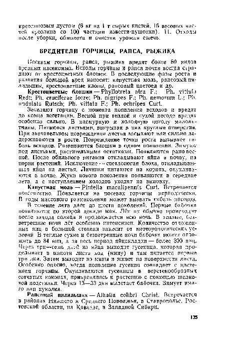 Посевам горчицы, рапса, рыжика вредят более 80 видов вредных насекомых. Всходы горчицы и рапса почти всегда страдают от крестоцветных блошек. В последующие фазы роста и развития большой вред наносят: капустная моль, рапсовый пилильщик, крестоцветные клопы, рапсовый цветоед и др.