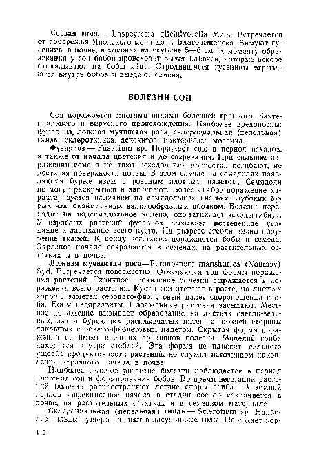 Наиболее сильное развитие болезни наблюдается в период цветения сои и формирования бобов. Во время вегетации растений болезнь распространяют летние споры гриба. В зимний период инфекционное начало в стадии ооспор сохраняется в почве, ¡¡а растительных остатках и в семенном материале.