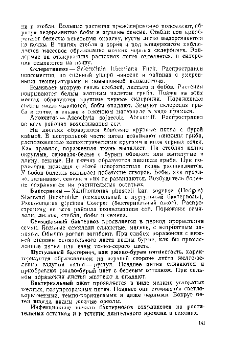 На листьях образуются довольно крупные пятна с бурой каймой. В центральной части пятен возникают пикниды гриба, расположенные концентрическими кругами в виде черных точек. Как правило, пораженная ткань выпадает. На стеблях пятка округлые, серовато-белые с бурым ободком или вытянутые в длину, темные. На пятнах образуются пикниды гриба. При поражении молодых стеблей поверхностная ткань расщепляется. У бобов болезнь вызывает побеление створок. Бобы, как правило, загнивают, семена в них не развиваются. Возбудитель болезни сохраняется на растительных остатках.