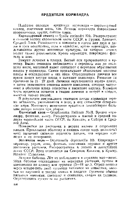 Наиболее опасные вредители кориандра — кориандровый семяед, зонтичная моль, тли. Всходы кориандра повреждают проволочники, хрущи, озимая совка.