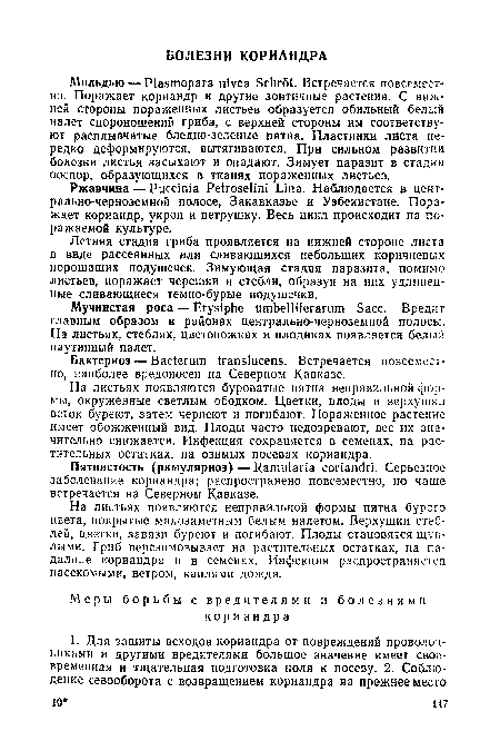 АТильдью — Plasmopara nivea Schrot. Встречается повсеместно. Поражает кориандр и другие зонтичные растения. С нижней стороны пораженных листьев образуется обильный белый налет спороношений гриба, с верхней стороны им соответствуют расплывчатые бледно-зеленые пятна. Пластинки листа нередко деформируются, вытягиваются. При сильном развитии болезни листья засыхают и опадают. Зимует паразит в стадии ооспор, образующихся в тканях пораженных листьев.