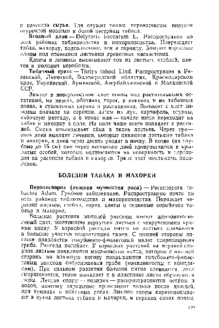 Табачный трипе — Thrips tabaci Lind. Распространен в Рязанской, Липецкой, Волгоградской областях, Краснодарском крае, Украинской, Армянской, Азербайджанской и Молдавской ССР.