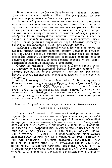 На молодой рассаде на кончиках или по краям листочков появляются маслянистые или мокнущие пятна. В сырую погоду пятна загнивают, и от них поражается все растение. На листьях растений старшего возраста появляются круглые хлоро-тичные пятна, которые позднее сливаются, образуя участки отмершей ткани. Возбудитель болезни сохраняется в листьях табака, в табачной и махорочной пыли, на парниковом инвентаре. В поле растения заражаются через больную рассаду и табачную (махорочную) пыль, разносимую ветром.