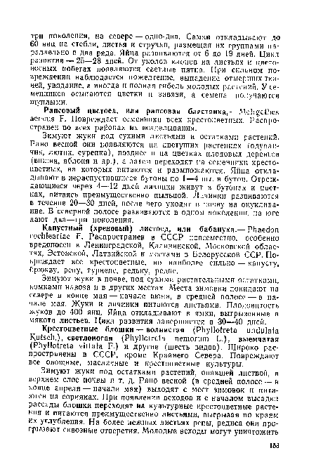 Зимуют жуки под сухими листьями и остатками растений. Рано весной они появляются на цветущих растениях (одуванчик, лютик, сурепка), позднее и на цветках плодовых деревьев (вишня, яблоня и др.), а затем переходят на семенники крестоцветных, на которых питаются и размножаются. Яйца откладывают в нераспустившиеся бутоны по 1—4 шт. в бутон. Отрож-дающиеся через 4—12 дней личинки живут в бутонах и цветках, питаясь преимущественно пыльцой. Личинки развиваются в течение 20—30 дней, после чего уходят в почву на окукливание. В северной полосе развиваются в одном поколении, на юге дают два—три поколения.