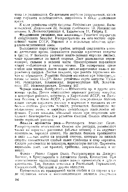 Черная ножка. Возбудитель — Rhisoctonia sp. и другие почвенные грибы. Почти повсеместно поражает рассаду капусты; в некоторых районах, например, в Карельской АССР, на Дальнем Востоке, в Коми АССР, в районах северо-запада болезнь может сильно поражать рассаду в парниках и вызывать ее гибель — стебель растения темнеет, утончается. Бессменное использование почвы в парниках способствует накоплению инфекции. Густая посадка, обильный полив при отсутствии вентиляции благоприятны для развития болезни. Опасен обильный полив взрослой рассады.