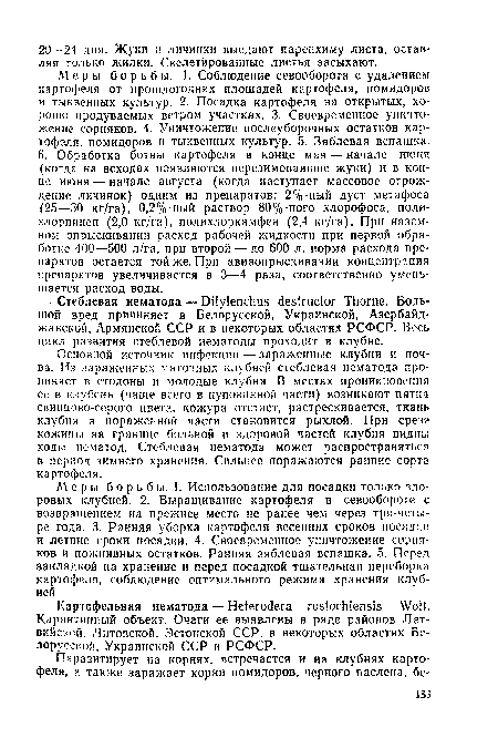 Основной источник инфекции — зараженные клубни и почва. Из зараженных маточных клубней стеблевая нематода проникает в столоны и молодые клубни. В местах проникновения ее в клубень (чаще всего в пуповинной части) возникают пятна свинцово-серого цвета, кожура отстает, растрескивается, ткань клубня в пораженной части становится рыхлой. При срезе кожипы на границе больной и здоровой частей клубня видны ходы нематод. Стеблевая нематода может распространяться в период зимнего хранения. Сильнее поражаются ранние сорта картофеля.