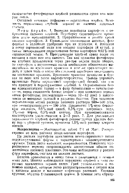 На листьях картофеля появляются темно-коричневые пятна округло-угловатой формы с характерными концентрическими кругами. Ткань листа высыхает, выкрашивается. Появление мак-роспориоза нередко сопровождается постепенным общим пожелтением листовой пластинки. Это чаще наблюдается у ранних форм картофеля, сначала на нижних листьях.