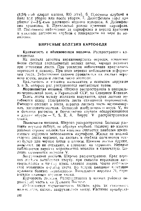 На листьях заметны неравномерность окраски, появление более светлых расплывчатых мелких пятен, хорошо видимых при затенении листа. При усилении заболевания крапчатость переходит в мозаику. При этом нередко наблюдается деформация листа. Заболевание сильнее проявляется на листьях верхнего яруса, нижние листья часто желтеют.