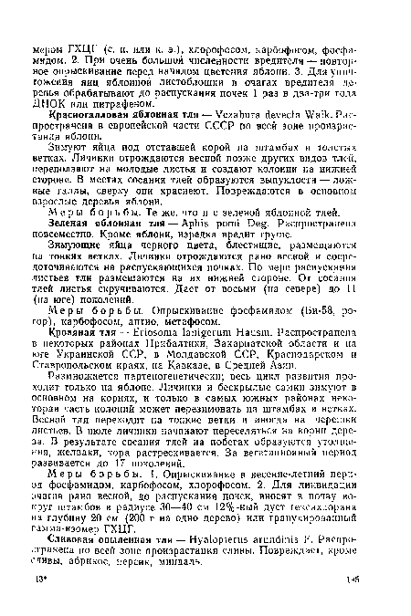 Зимующие яйца черного цвета, блестящие, размещаются на тонких ветках. Личинки отрождаются рано весной и сосредоточиваются на распускающихся почках. По мере распускания листьев тли размещаются на их нижней стороне. От сосания тлей листья скручиваются. Дает от восьми (на севере) до 11 (на юге) поколений.