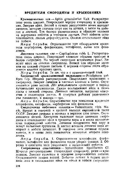 Меры борьбы. Опрыскивание при обнаружении вредителя карбофосом, фосфамидом, метафосом, антио или фоза-лоном.