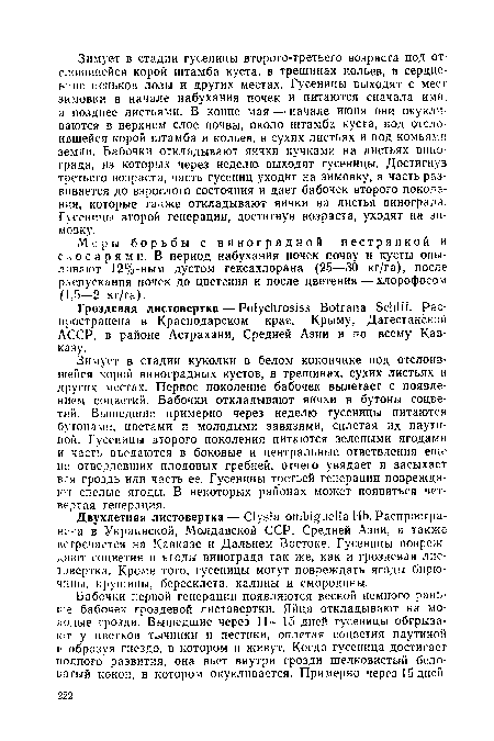 Зимует в стадии куколки в белом кокончике под отслоившейся корой виноградных кустов, в трещинах, сухих листьях и других местах. Первое поколение бабочек вылетает с появлением соцветий. Бабочки откладывают яички в бутоны соцветий. Вышедшие примерно через неделю гусеницы питаются бутонами, цветами и молодыми завязями, сплетая их паутиной. Гусеницы второго поколения питаются зелеными ягодами и часть въедаются в боковые и центральные ответвления еще не отвердевших плодовых гребней, отчего увядает и засыхает вся гроздь или часть ее. Гусеницы третьей генерации повреждают спелые ягоды. В некоторых районах может появиться четвертая генерация.