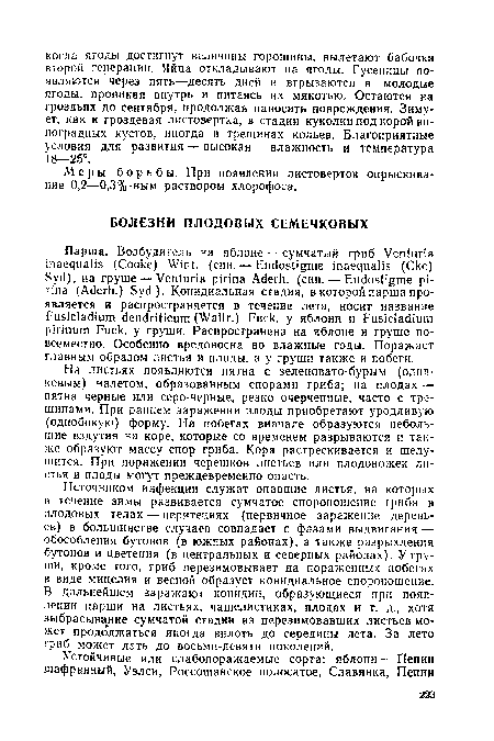 Источником инфекции служат опавшие листья, на которых в течение зимы развивается сумчатое спороношение гриба в плодовых телах — перитециях (первичное заражение деревьев) в большинстве случаев совпадает с фазами выдвигания — обособления бутонов (в южных районах), а также разрыхления бутонов и цветения (в центральных и северных районах). У груши, кроме того, гриб перезимовывает на пораженных побегах в виде мицелия и весной образует конидиальное спороношение. В дальнейшем заражают конидии, образующиеся при появлении парши на листьях, чашелистиках, плодах и т. д., хотя выбрасывание сумчатой стадии из перезимовавших листьев может продолжаться иногда вплоть до середины лета. За лето гриб может дать до восьми-девяти поколений.