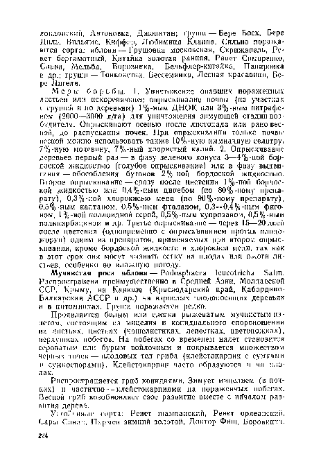 Устойчивые сорта: Ренет шампанский, Ренет орлеанский, Сары Синап, Пармен зимний золотой, Доктор Фиш, Боровинка.