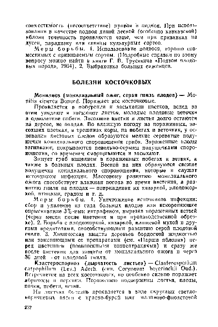 Меры борьбы. 1. Уничтожение источников инфекции: сбор и удаление из сада больных плодов или искореняющее опрыскивание 3%-ным нитрафеном, вырезка пораженных ветвей (через месяц после цветения и при производственной обрезке). 2. Борьба с плодожоркой, казаркой, вишневой мухой и другими вредителями, способствующими развитию серой плодовой гнили. 3. Химическая защита деревьев бордоской жидкостью или заменяющими ее препаратами (см. «Парша яблони») перед цветением (повышенными концентрациями) и сразу же после цветения для защиты от монилиального ожога и через 30 дней — от плодовой гнили.