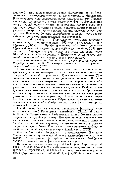 Красная пятнистость (полистигмоз, ожог) листьев сливы — Poiystigma rubrum D. С. Распространена в южных районах европейской части СССР.