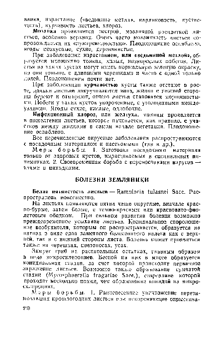 Белая пятнистость листьев — ИагтИапа 1и1аэпе1 Басс. Распространена повсеместно.