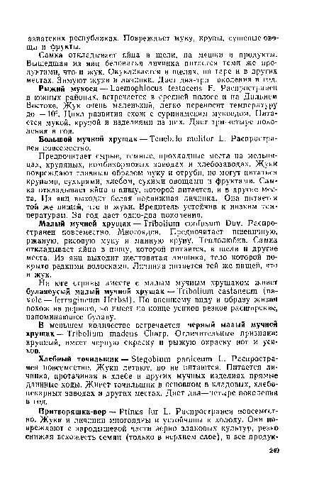 Малый мучной хрущак — Tribolium confusum Duv. Распространен повсеместно. Многояден. Предпочитает пшеничную, ржаную, рисовую муку и манную крупу. Теплолюбив. Самка откладывает яйца в пищу, которой питается, в щели и другие места. Из яиц выходит желтоватая личинка, тело которой покрыто редкими волосками. Личинка питается той же пищей, что и жук.