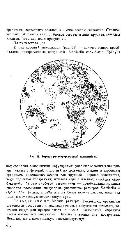 Хорошо регенерированный активный ил