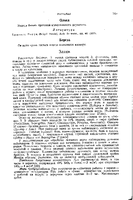 У молотильщиков при обработке лежалого зерна наблюдалось легочное заболевание. В тяжелых случаях оно начиналось внезапно с озноба и лихорадки. Появлялись тошнота и кашель со слизисто-гнойной или кровянистой мокротой и одышка. Из-за упорной одышки заболевшие долго оставались нетрудоспособными. Клинически заболевание протекало, как катар мелких бронхов. В мокроте в нескольких случаях был найден дрожжевой грибок Monilia albicans. Возможно, что он является возбудителем заболевания.