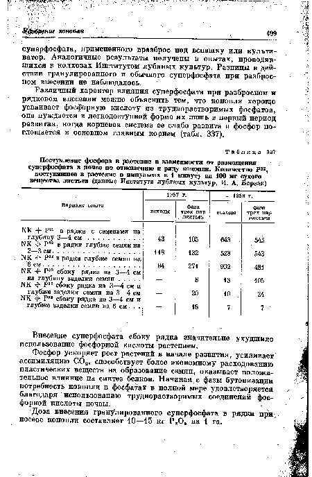 Поступление фосфора в растение в зависимости от размещении суперфосфата в почве по отношению к ряду конопли. Количество Р82, поступившее в растение в импульсах в 1 минуту на 100 мг сухого вещества листьев (данные Института лубяных культур, И. А. Берзак)