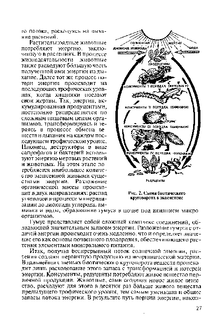 Схема биотического круговорота в экосистеме